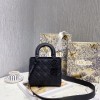 디올 MY ABCDIOR 레이디백  M0538-5